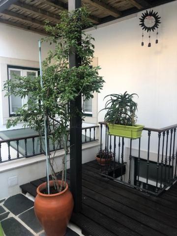 ססימברה Courtyard House - Sun, Barbecue, Beach מראה חיצוני תמונה